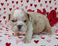 processed/9103f4dd-3fb8-45a1-8626-29ff9c922aa1/listing/7f86a887-0406-42e8-9ef2-2d454ed1e284/74aa26ed-b096-4942-9e65-434df6a5371a