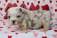 processed/9103f4dd-3fb8-45a1-8626-29ff9c922aa1/listing/7f86a887-0406-42e8-9ef2-2d454ed1e284/923774cf-9cb9-4eb8-9709-0aba4541deea