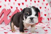 processed/9103f4dd-3fb8-45a1-8626-29ff9c922aa1/listing/9582899f-e811-4701-8e47-97ded6720363/3f015c60-5895-494b-b6f3-cd9788dc4ba4