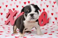 processed/9103f4dd-3fb8-45a1-8626-29ff9c922aa1/listing/9582899f-e811-4701-8e47-97ded6720363/8148a8d4-84cb-462b-b8c4-335523df80b4