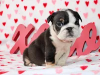 processed/9103f4dd-3fb8-45a1-8626-29ff9c922aa1/listing/9582899f-e811-4701-8e47-97ded6720363/981f2b64-6c68-47db-ae4b-d6dbf308aae5