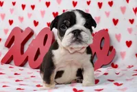 processed/9103f4dd-3fb8-45a1-8626-29ff9c922aa1/listing/9582899f-e811-4701-8e47-97ded6720363/db0f0b66-b81f-43bb-86f4-5f2ec4979648