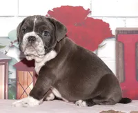 processed/9103f4dd-3fb8-45a1-8626-29ff9c922aa1/listing/df93271b-d02d-4378-b73e-9ee2a4e1cb84/3216cd9b-b3e7-4866-9438-6a8fd71b022a