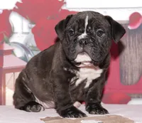 processed/9103f4dd-3fb8-45a1-8626-29ff9c922aa1/listing/ef824c29-a1b9-462b-984a-bb4dc1ed51e0/0baa999c-68f6-45ed-9642-c3316b6ea11a