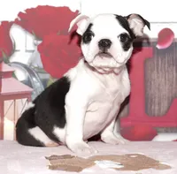 processed/9103f4dd-3fb8-45a1-8626-29ff9c922aa1/listing/f6828848-b1a8-4ca5-be2b-978c884dbfcb/0b205f13-545f-4b2b-a9de-8f720bcfef15