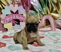 processed/9103f4dd-3fb8-45a1-8626-29ff9c922aa1/listing/fa072269-c406-4251-a5f1-513f8e7af41f/2c46d2a6-ec1d-4d7e-b508-5cd97bd32613