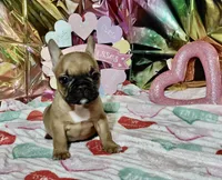 processed/9103f4dd-3fb8-45a1-8626-29ff9c922aa1/listing/fa072269-c406-4251-a5f1-513f8e7af41f/76ea9cae-3ce9-40d9-80c3-a9016035cfec