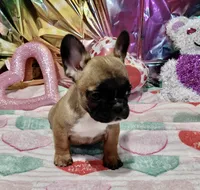 processed/9103f4dd-3fb8-45a1-8626-29ff9c922aa1/listing/fa072269-c406-4251-a5f1-513f8e7af41f/970a1c38-51fa-4213-ab3e-491e84a6c2c7