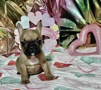 processed/9103f4dd-3fb8-45a1-8626-29ff9c922aa1/listing/fa072269-c406-4251-a5f1-513f8e7af41f/a5be49cb-ab07-4f0d-a6a9-eab199ba301b