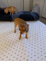 processed/910a811d-e15b-45a7-9ea8-bc0221d4d976/listing/8c9116bb-b853-47c3-a42c-fb53e0792cee/305118b8-2a84-4925-b70a-748b1046d271