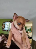 processed/910a811d-e15b-45a7-9ea8-bc0221d4d976/listing/8c9116bb-b853-47c3-a42c-fb53e0792cee/362bf961-a2c3-4265-afe9-01b8185f0a43