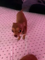 processed/910a811d-e15b-45a7-9ea8-bc0221d4d976/listing/8c9116bb-b853-47c3-a42c-fb53e0792cee/8ef86da0-bd53-455e-b119-0c45584ba404