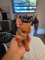 processed/910a811d-e15b-45a7-9ea8-bc0221d4d976/listing/8c9116bb-b853-47c3-a42c-fb53e0792cee/bfc42f51-01bb-4dbb-a81b-e5693e8be031