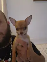 processed/910a811d-e15b-45a7-9ea8-bc0221d4d976/listing/8c9116bb-b853-47c3-a42c-fb53e0792cee/dfc466dd-0589-467f-971b-b11f58656d85