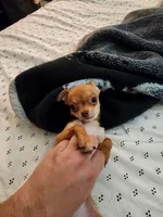 processed/910a811d-e15b-45a7-9ea8-bc0221d4d976/listing/8c9116bb-b853-47c3-a42c-fb53e0792cee/ec0fe2d3-870f-4a08-9ddd-adb6988f44a6