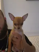 processed/910a811d-e15b-45a7-9ea8-bc0221d4d976/listing/8c9116bb-b853-47c3-a42c-fb53e0792cee/ff6414cc-19ba-4631-8cb8-fcce58d42ed6