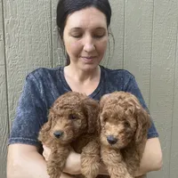 processed/910b7700-69c2-4cd3-845f-acd953983309/facility/0ade112d-818e-4d2b-9078-a9e52879087f