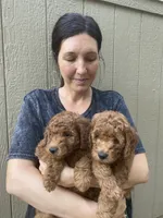 processed/910b7700-69c2-4cd3-845f-acd953983309/facility/0ade112d-818e-4d2b-9078-a9e52879087f