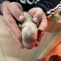 processed/910b7700-69c2-4cd3-845f-acd953983309/facility/1a04e57e-bf98-417a-a0de-4055cc4ef62f