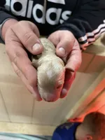 processed/910b7700-69c2-4cd3-845f-acd953983309/facility/1a04e57e-bf98-417a-a0de-4055cc4ef62f