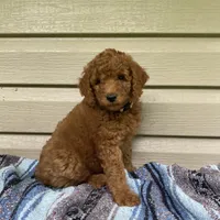 processed/910b7700-69c2-4cd3-845f-acd953983309/facility/1bca6f53-accf-4e47-a0c2-11ce463d66a3