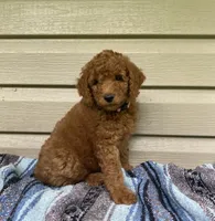 processed/910b7700-69c2-4cd3-845f-acd953983309/facility/1bca6f53-accf-4e47-a0c2-11ce463d66a3