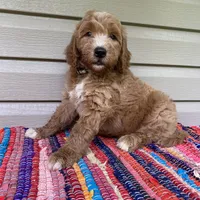 processed/910b7700-69c2-4cd3-845f-acd953983309/facility/50f2857f-2d24-4c43-b337-506f1183699c