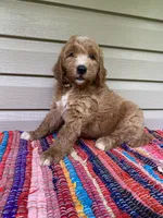 processed/910b7700-69c2-4cd3-845f-acd953983309/facility/50f2857f-2d24-4c43-b337-506f1183699c