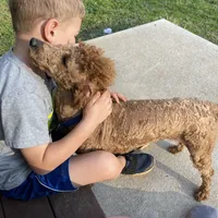 processed/910b7700-69c2-4cd3-845f-acd953983309/facility/5d45706b-679b-44bb-b256-70bc781e1937