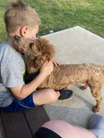 processed/910b7700-69c2-4cd3-845f-acd953983309/facility/5d45706b-679b-44bb-b256-70bc781e1937