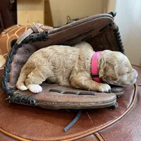 processed/910b7700-69c2-4cd3-845f-acd953983309/facility/b8ea0031-be17-4d30-88a3-5868a706ae75