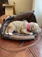 processed/910b7700-69c2-4cd3-845f-acd953983309/facility/b8ea0031-be17-4d30-88a3-5868a706ae75