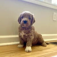 processed/910b7700-69c2-4cd3-845f-acd953983309/facility/bb173b25-039e-4814-92e7-3b44d6caa3bb