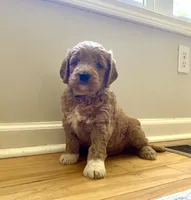 processed/910b7700-69c2-4cd3-845f-acd953983309/facility/bb173b25-039e-4814-92e7-3b44d6caa3bb