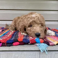 processed/910b7700-69c2-4cd3-845f-acd953983309/facility/c1b071b5-82c0-40f2-842d-805805cc7abe