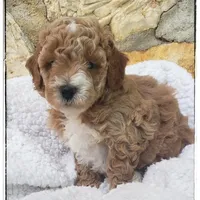 processed/910b7700-69c2-4cd3-845f-acd953983309/facility/d6c5af8d-c5c4-42a5-844b-036d67b05c47