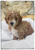 processed/910b7700-69c2-4cd3-845f-acd953983309/facility/d6c5af8d-c5c4-42a5-844b-036d67b05c47