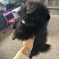 processed/910c6696-e9d8-4a57-a927-e29e8953c5ce/facility/43870a62-215f-4bf1-90af-5a5214282202