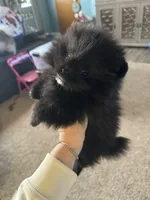 processed/910c6696-e9d8-4a57-a927-e29e8953c5ce/facility/43870a62-215f-4bf1-90af-5a5214282202