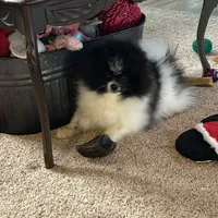 processed/910c6696-e9d8-4a57-a927-e29e8953c5ce/facility/8606d786-5b32-41be-bded-ef073c53977d