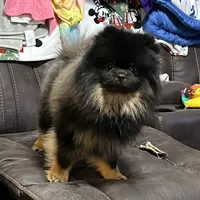 processed/910c6696-e9d8-4a57-a927-e29e8953c5ce/facility/c4f6cbf6-079f-4818-a908-a9a30127b338