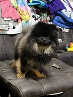 processed/910c6696-e9d8-4a57-a927-e29e8953c5ce/facility/c4f6cbf6-079f-4818-a908-a9a30127b338