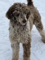 processed/91133015-a9f1-402a-af36-6b6fd21e4cc6/listing/1d90925c-5dc2-4585-a92e-506026e08942/5cd76ca6-1db4-45cd-b9ee-31208030a41a