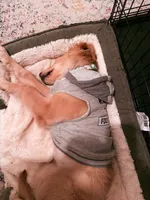 processed/91174dc0-0dcc-4472-882a-f9cd47df9f0c/facility/16fb931c-ba10-45a2-a3bf-190b5759cd04