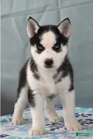 processed/911de30b-8d4f-4e22-9713-4fbe7fee56b7/listing/09757e6c-8fb5-4311-b845-6467fa0a2882/31e49adb-8c48-4604-9811-8385758807ee