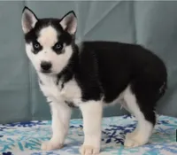 processed/911de30b-8d4f-4e22-9713-4fbe7fee56b7/listing/09757e6c-8fb5-4311-b845-6467fa0a2882/8275dd97-711e-426f-b69c-712e55c8443d