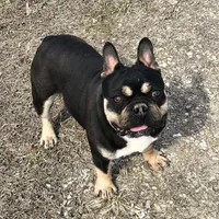 processed/911f4142-1d78-4a48-99d5-67992b513065/facility/00eff7ef-db8e-4e13-ada2-a1c966b71e37