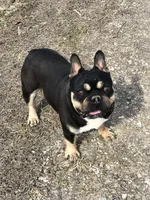 processed/911f4142-1d78-4a48-99d5-67992b513065/facility/00eff7ef-db8e-4e13-ada2-a1c966b71e37