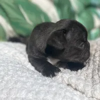 processed/911f4142-1d78-4a48-99d5-67992b513065/facility/3b374331-ffed-4232-8b61-84e81d76cb6d