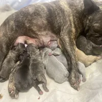 processed/911f4142-1d78-4a48-99d5-67992b513065/facility/a84eda67-b6cd-4259-b254-88e4cf5c060c